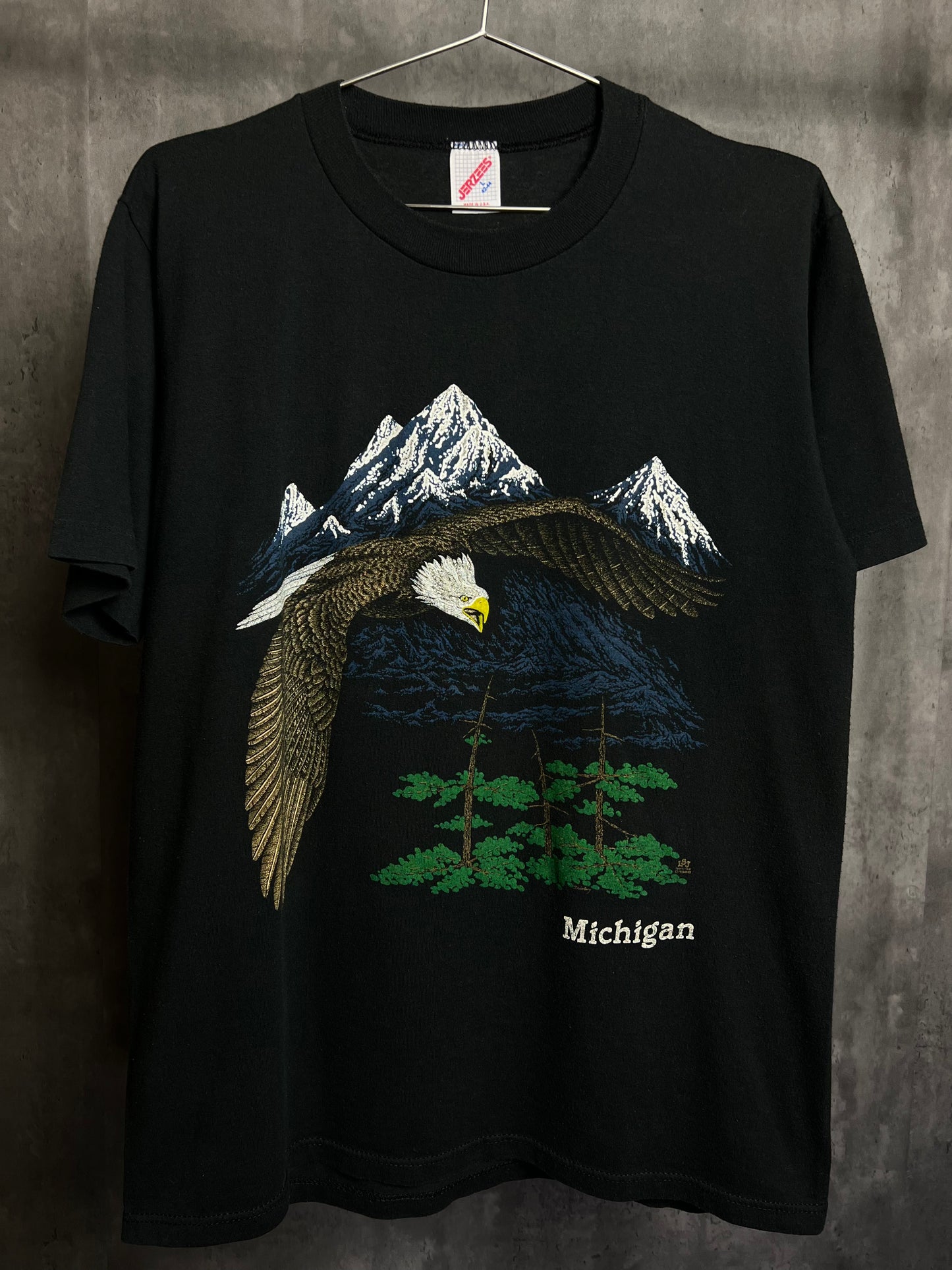 1990s Michigan Eagle tee [L]